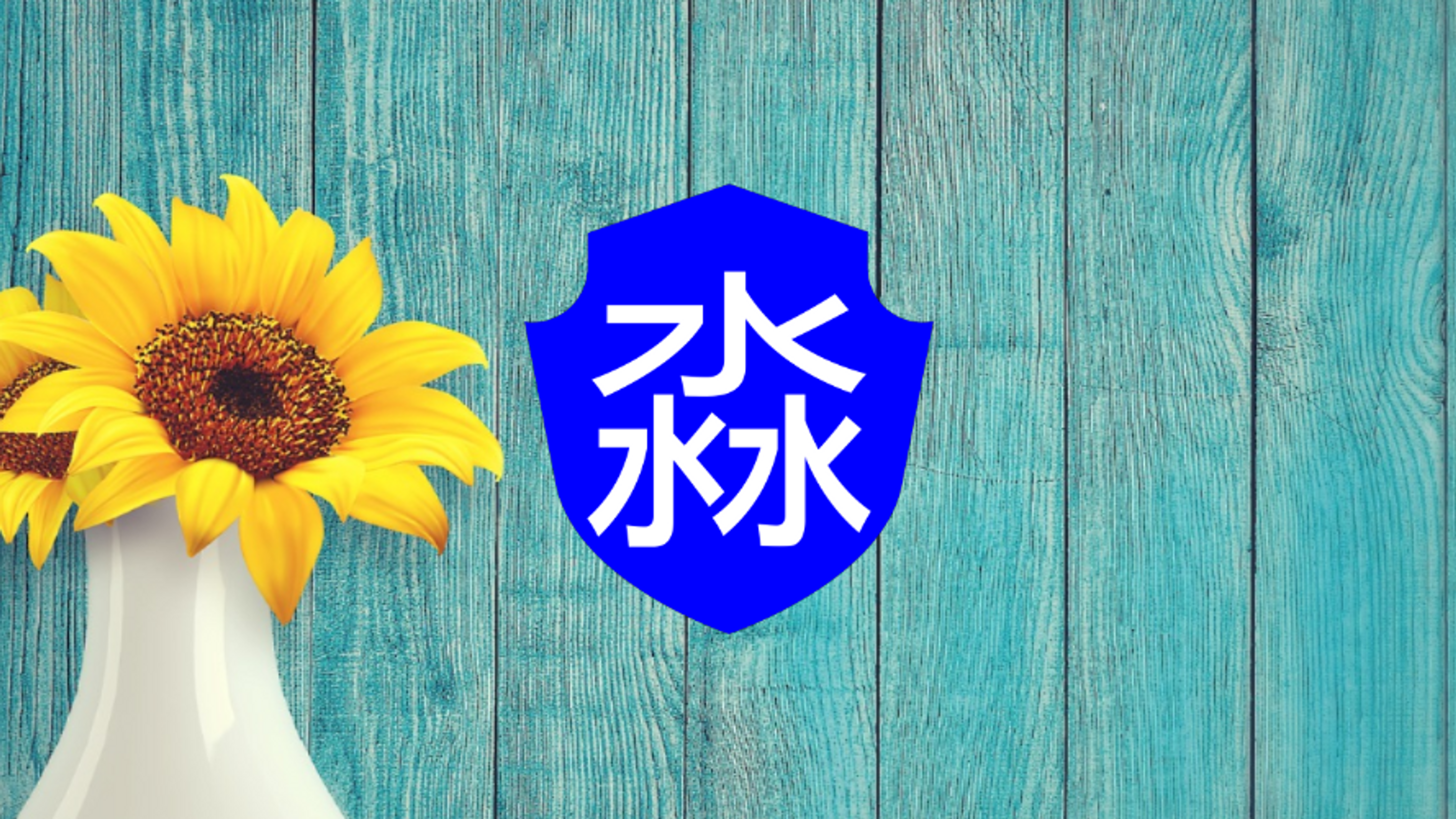 淼一视频